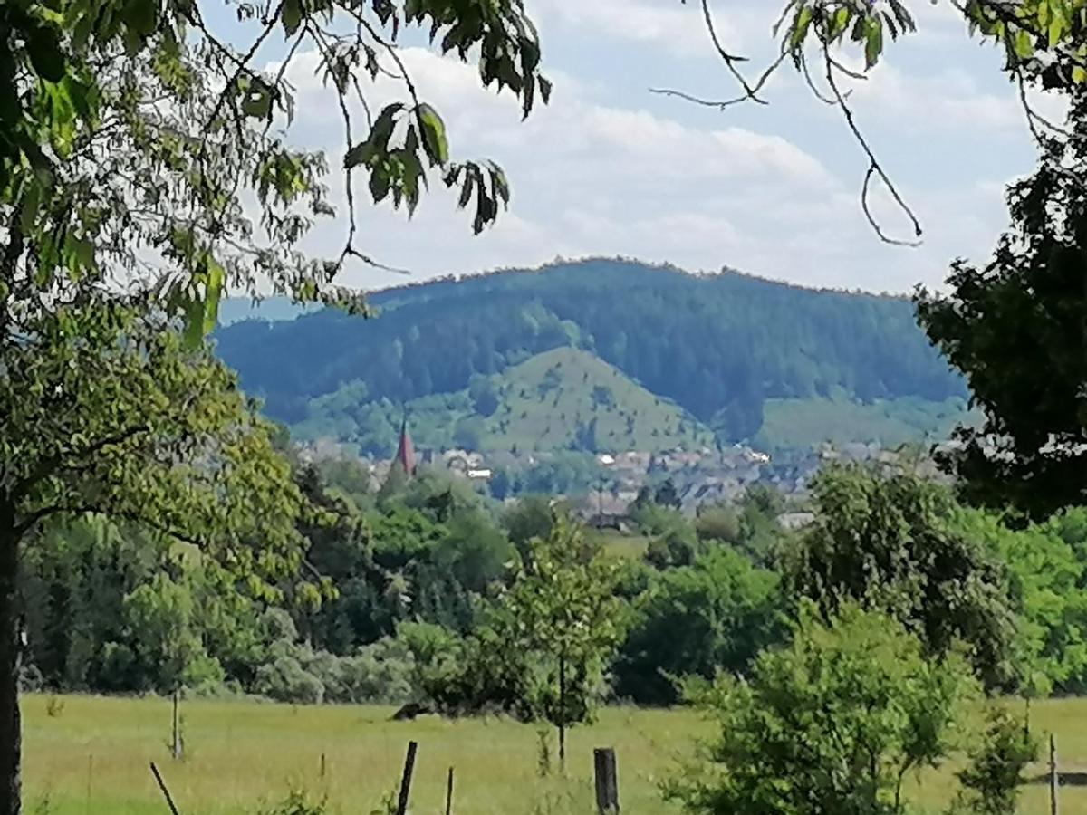Fewo-Turmblick-Rottweil Exteriör bild