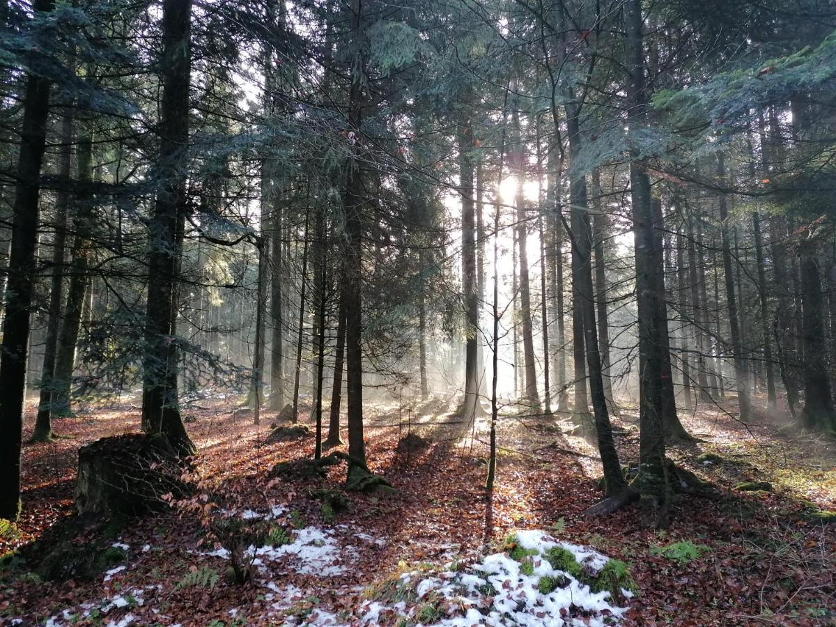 Fewo-Turmblick-Rottweil Exteriör bild